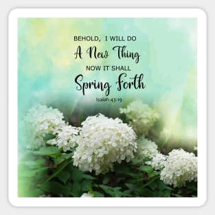 Isaiah 43:19 Behold I Do A New Thing - Bible Verse Scripture White Limelight Hydrangea flowers Sticker